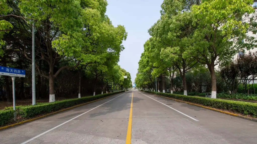 上海周边包车游服务方案设计:司兼导模式下的深度行程规划正文配图 1